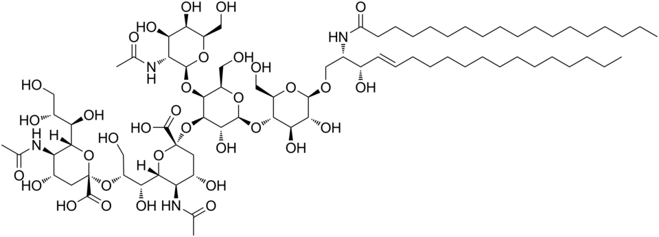 Fayl:GD2 ganglioside.png