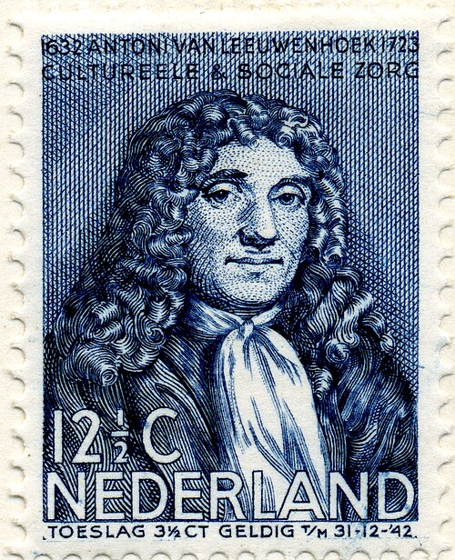 Fayl:Leewenhoek-Postzegel nr-299.jpg