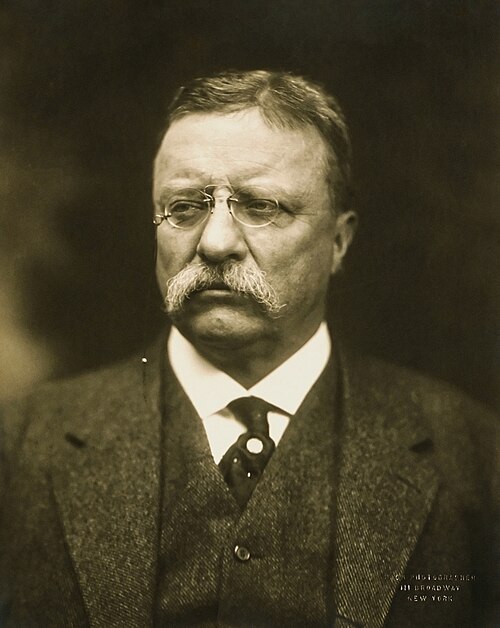 Fayl:T Roosevelt.jpg
