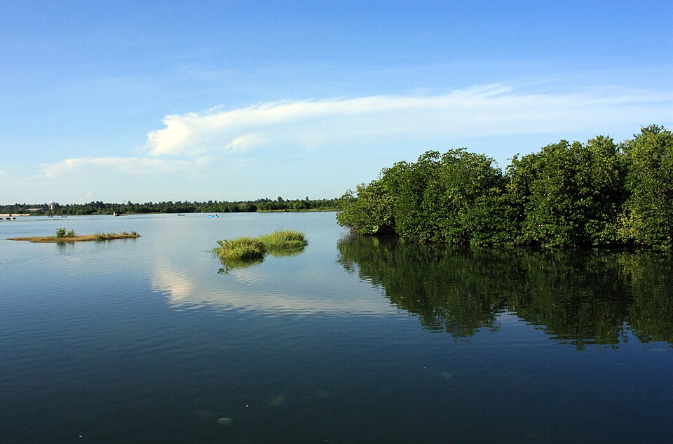 Fayl:Valaichchenai Lagoon.jpg
