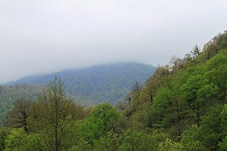 Talish togʻlari