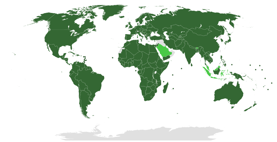 Fayl:IOM members and observers.svg