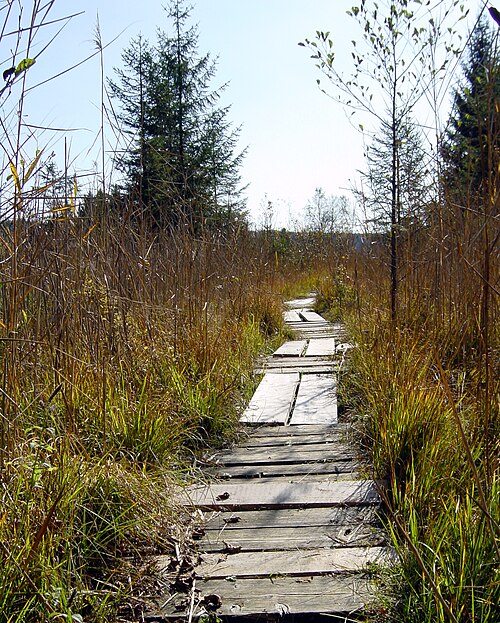 Fayl:Maisinger See-ib01.jpg