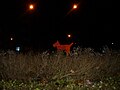 01:13, 2007-yil 16-fevral dagi versiya uchun tasvir