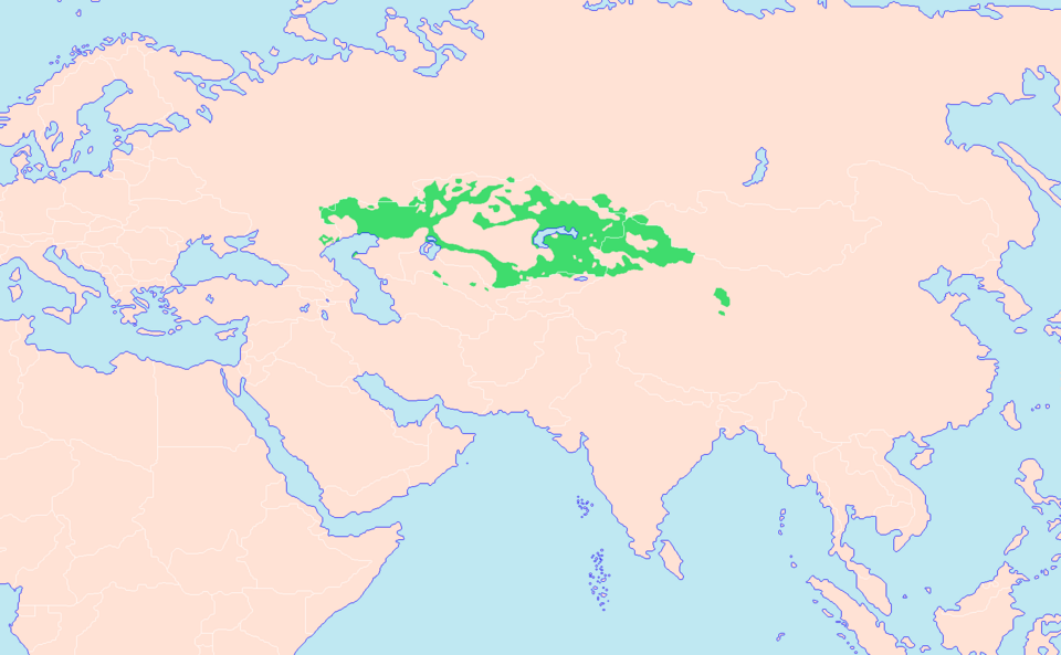Fayl:Siedlungsgebiet der Kasachen.png