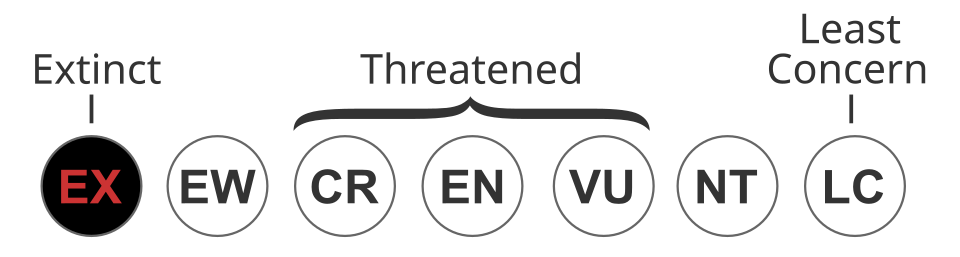 Fayl:Status iucn3.1 EX.svg