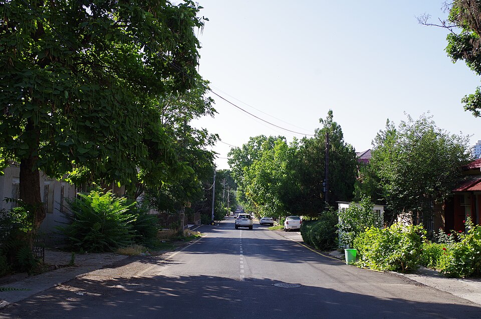 Fayl:Vosit vohidov 004.jpg