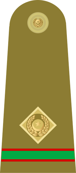 Fayl:08.Pakistan Army-CWO.svg