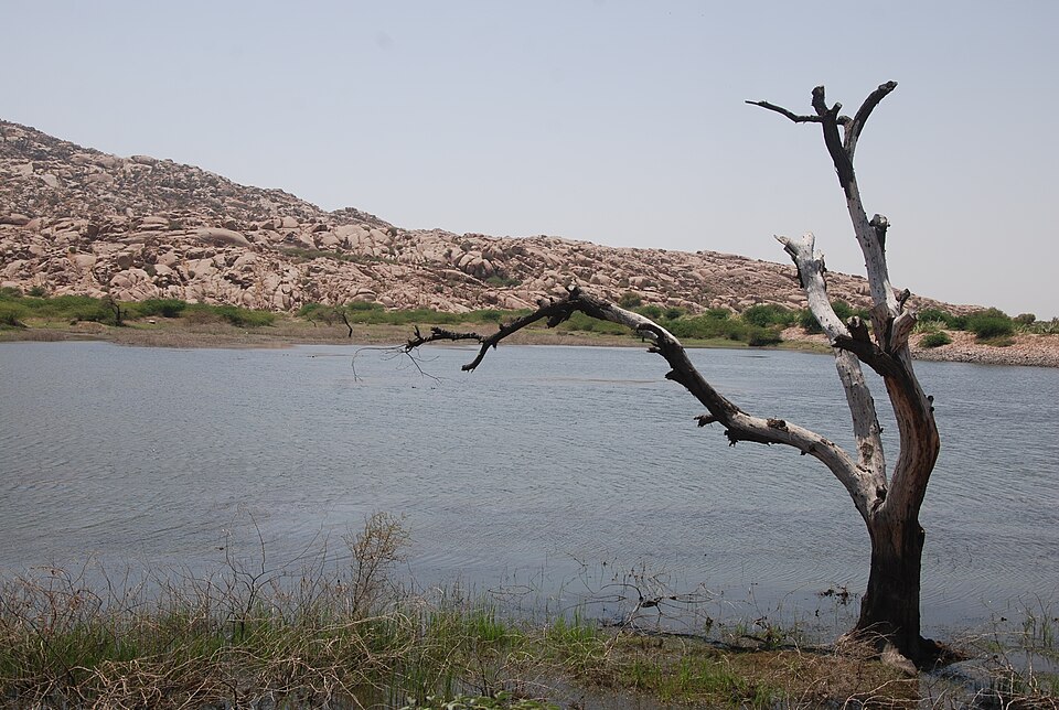 Fayl:Bhodisar.JPG