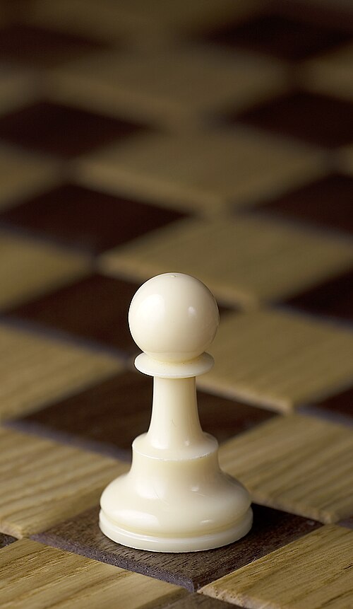 Fayl:Chess piece - White pawn.JPG