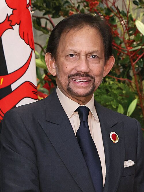 Fayl:His Majesty Bolkiah 20231216.jpg