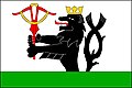 {{{rasmiy_nomi}}}ning bayrogʻi