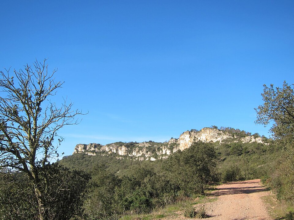Fayl:Tossal Gros de Miramar.jpg