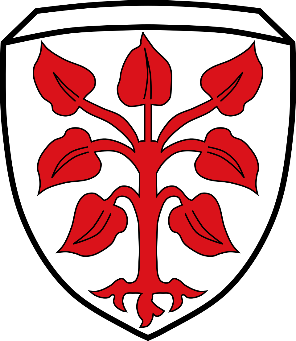 Fayl:DEU Rottenbuch COA.svg