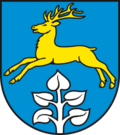 Braunschwende