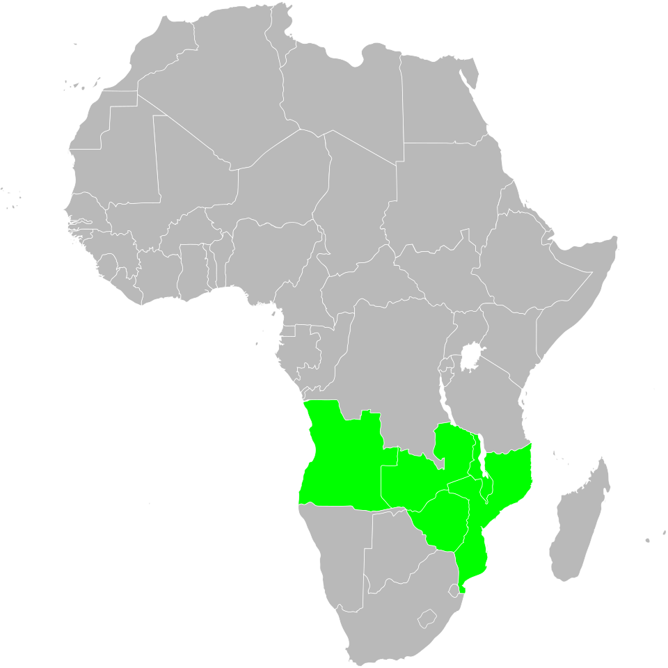 Fayl:WGSRPD South Tropical Africa.svg