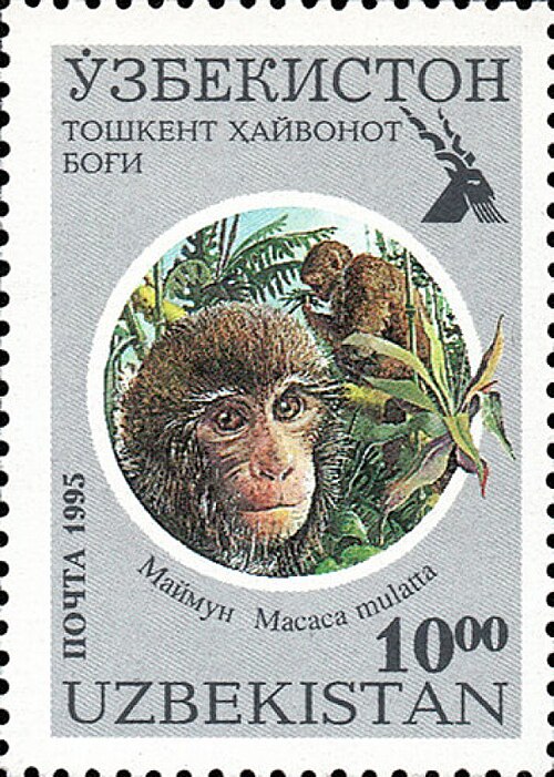 Fayl:Uz Michel 97.jpg