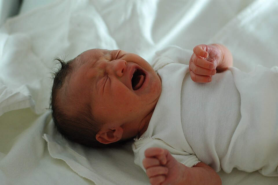Fayl:Crying newborn.jpg