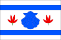 {{{rasmiy_nomi}}}ning bayrogʻi