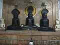 Pateriaji asosiy vedi