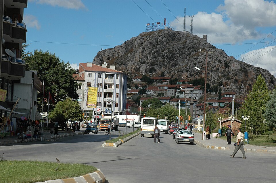 Fayl:Turhal 2004 1886.jpg