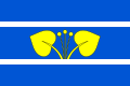 {{{rasmiy_nomi}}}ning bayrogʻi
