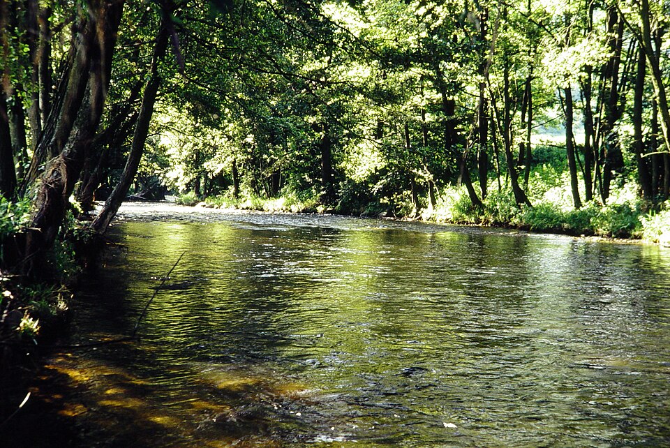 Fayl:Lcovice 016.jpg