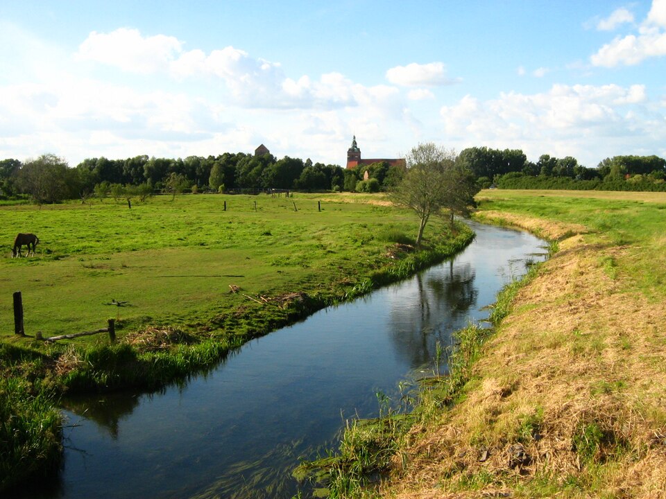 Fayl:Dosse-bei-Wittstock-09-08-2008-154.jpg