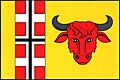 {{{rasmiy_nomi}}}ning bayrogʻi