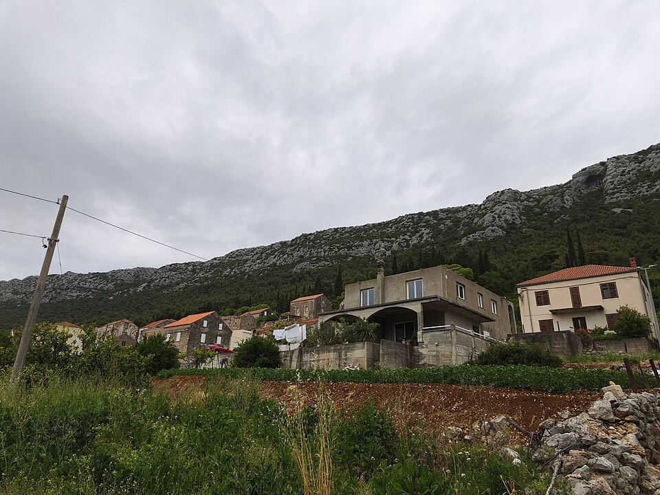 Fayl:Česvinica.jpg