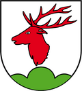 Sorge
