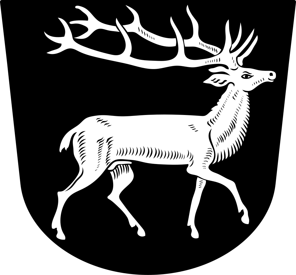 Fayl:DEU Hirschberg COA.svg