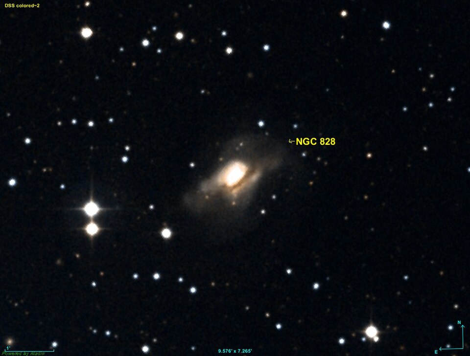Fayl:NGC 0828 DSS.jpg