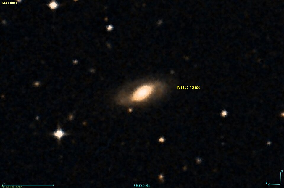 Fayl:NGC 1368 DSS.jpg