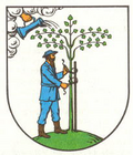 Netzschkau