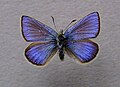 18:28, 2009-yil 13-noyabr dagi versiya uchun tasvir
