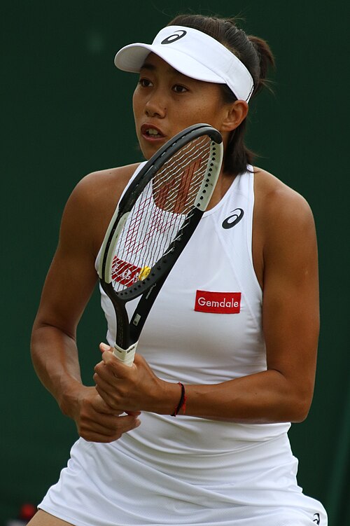 Fayl:Zhang WM19 (16) (48521849352).jpg