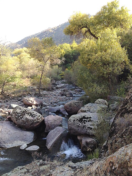 Fayl:Chatkalskiy nature reserve.jpg