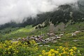 Elevit Yayla from Black Sea Region, Turkey