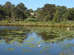 Skyline of Hurstville Grove
