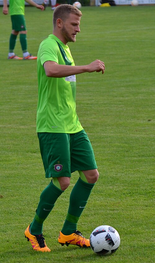 Fayl:Nicky Adler 2016.jpg