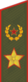 Shoulder strap of an Army General