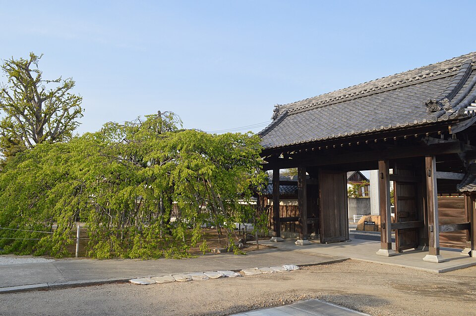 Fayl:Takahama Sensyubo ac (2).jpg
