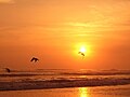 18:50, 2011-yil 1-iyul dagi versiya uchun tasvir