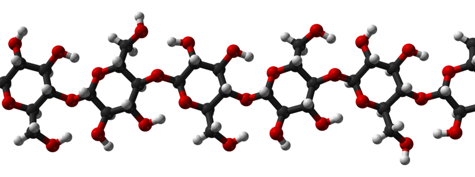 Fayl:Cellulose-Ibeta-from-xtal-2002-3D-balls.png