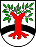 Surwold
