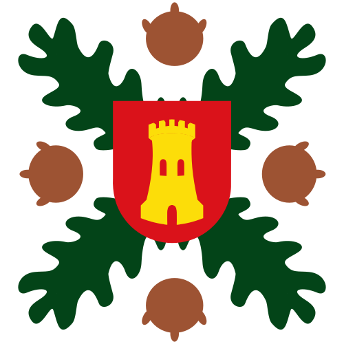 Fayl:Bandera de Agallas.svg