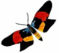19:16, 2011-yil 10-avgust dagi versiya uchun tasvir