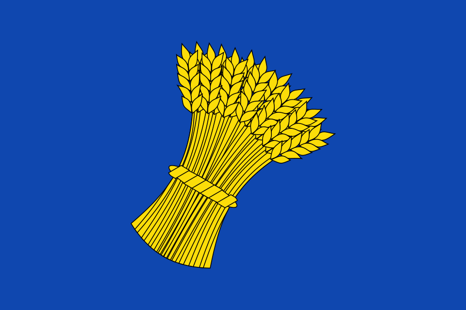 Fayl:Flag of Canjáyar Spain.svg