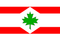 {{{rasmiy_nomi}}}ning bayrogʻi